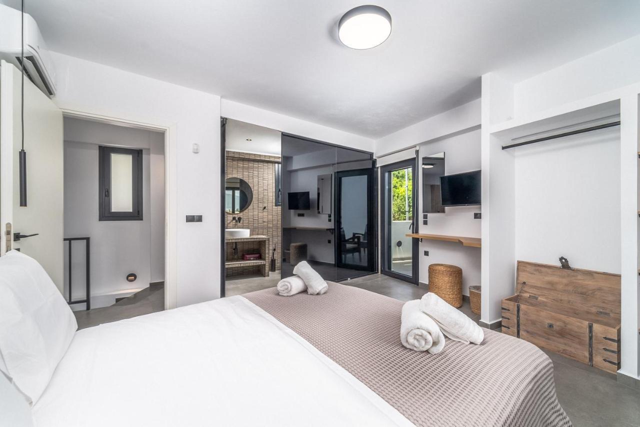 Nemesis Luxury Villas Apolpaina Екстериор снимка