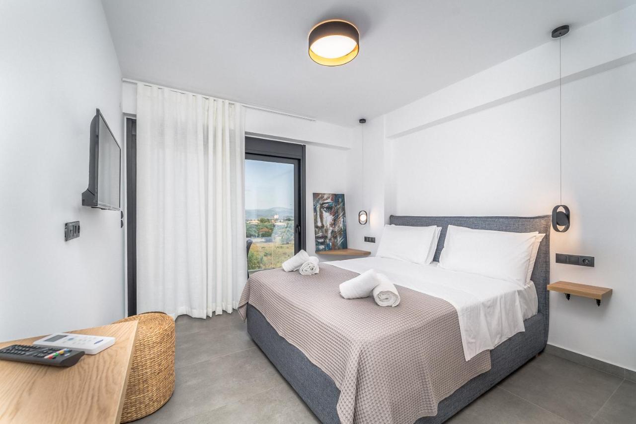 Nemesis Luxury Villas Apolpaina Екстериор снимка