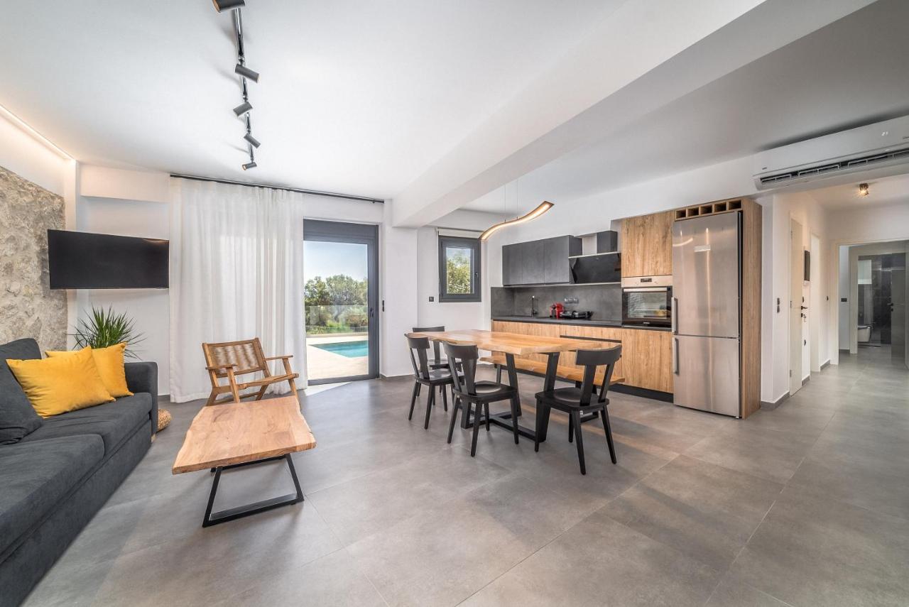 Nemesis Luxury Villas Apolpaina Екстериор снимка